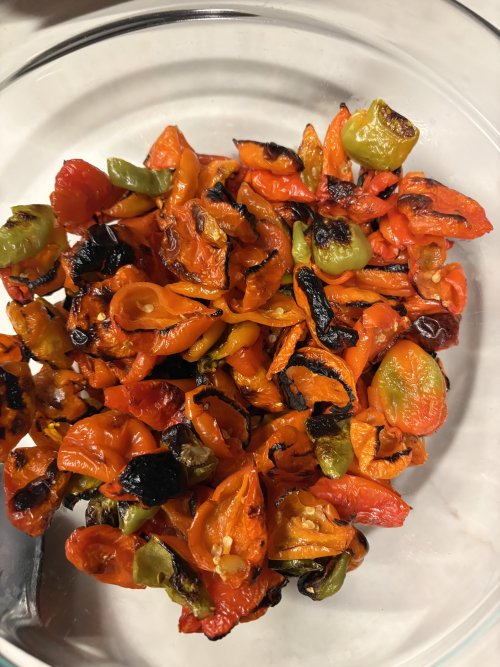 IMG_6501.jpeg IMG_6501.jpeg