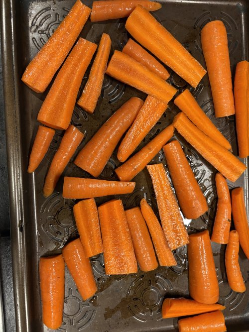 IMG_6504.jpeg IMG_6504.jpeg