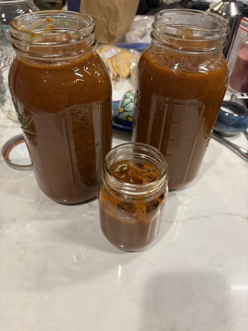 IMG_6520.jpeg IMG_6520.jpeg