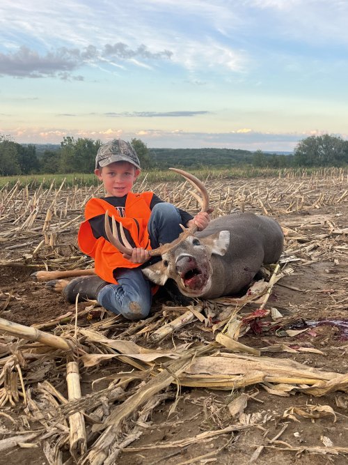 1765080028840.jpeg 1765080028840.jpeg