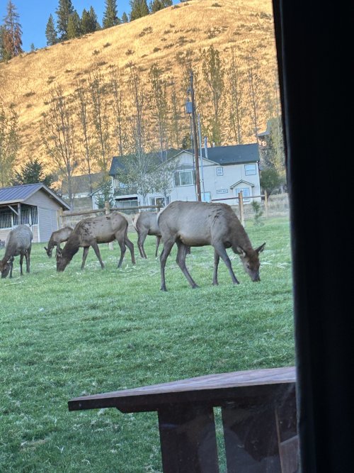 IMG_1286.jpeg IMG_1286.jpeg