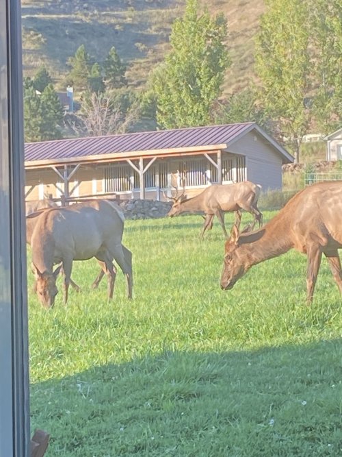 IMG_0213.jpeg IMG_0213.jpeg