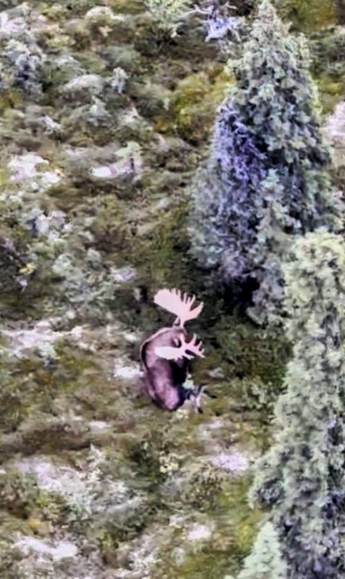 IMG_0330~2.jpeg