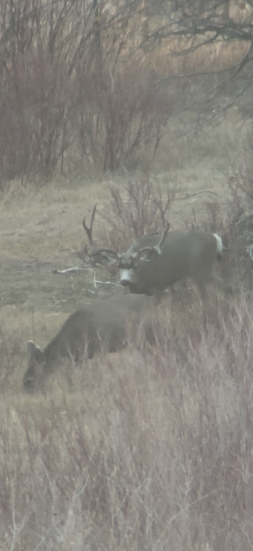 IMG_8477.png IMG_8477.png