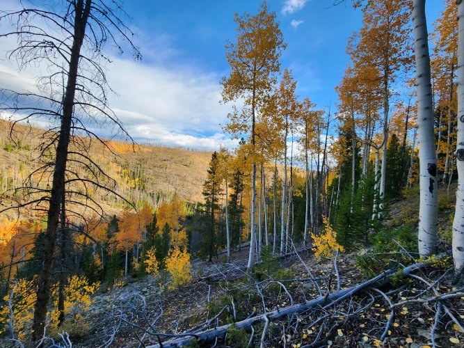 20250922_082946.jpg 20250922_082946.jpg