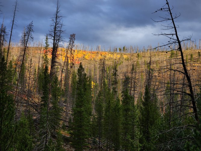 20250922_075155.jpg 20250922_075155.jpg