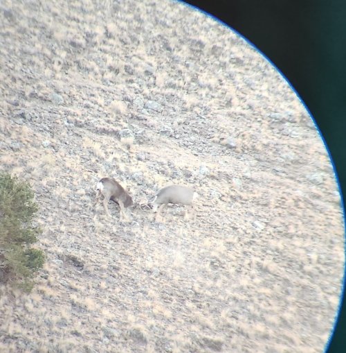 20251108_070517.jpg 20251108_070517.jpg