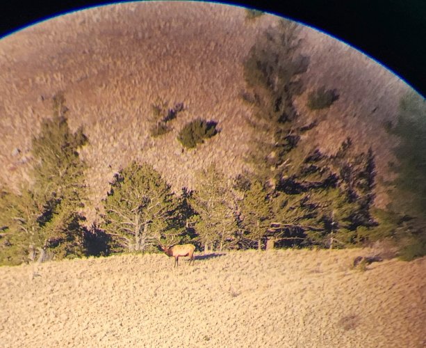 20251109_162040.jpg 20251109_162040.jpg