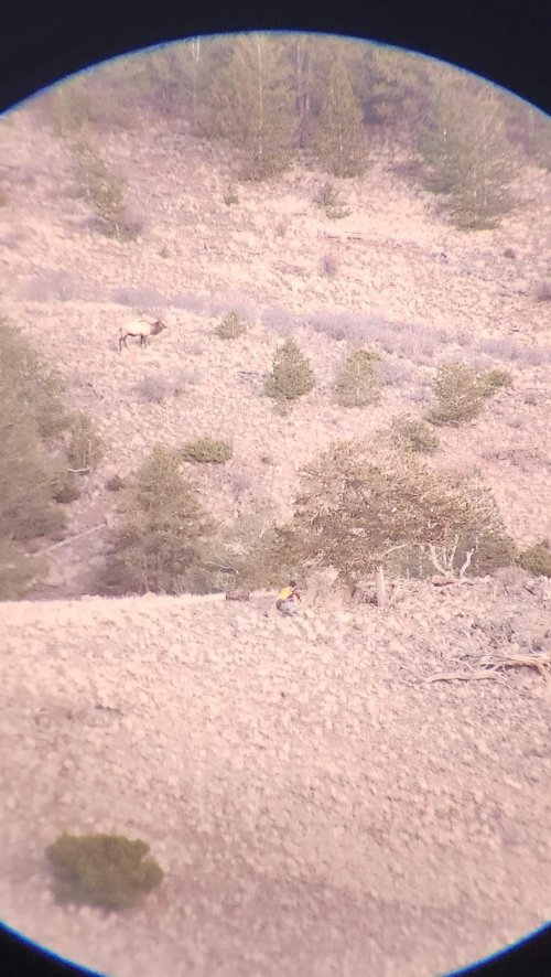 20251110_170732.jpg 20251110_170732.jpg