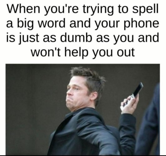 1000022233.jpg