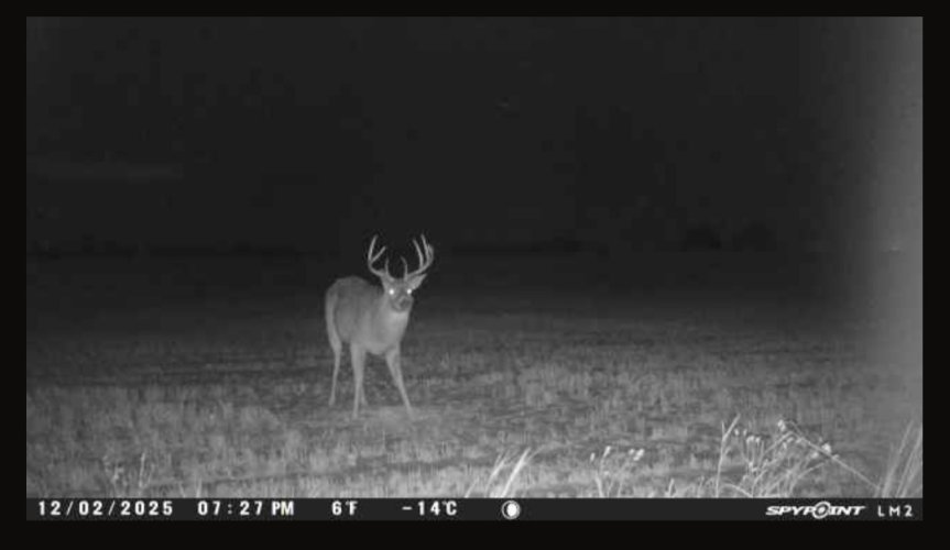 1000020837.jpg 1000020837.jpg