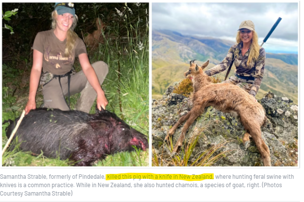 1765227760164.png 1765227760164.png