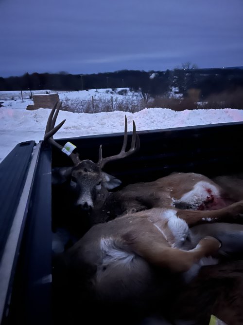 1765248437425.jpeg 1765248437425.jpeg