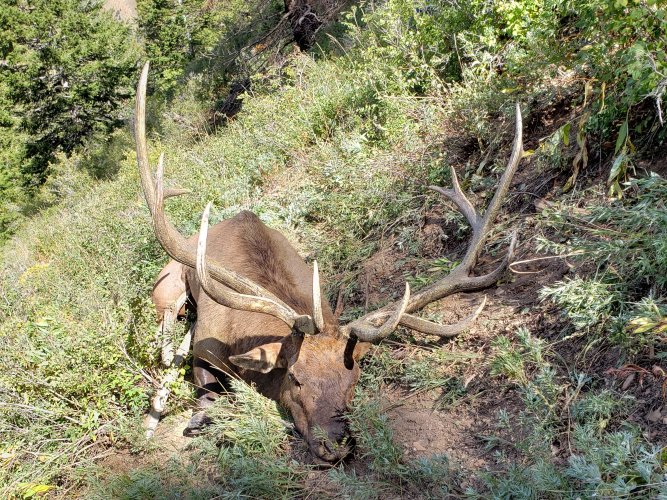 20190915_111438 copy.jpg