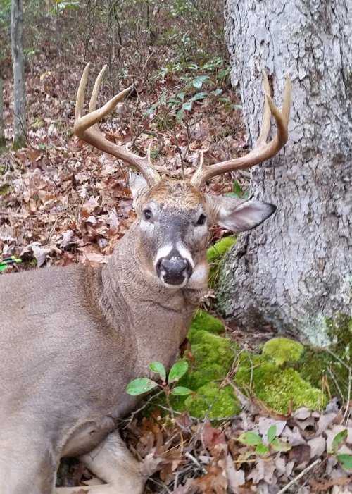 20171101_104910 edit resize.jpg