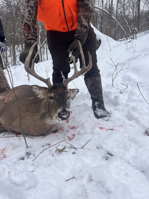 1765316829768.jpeg 1765316829768.jpeg