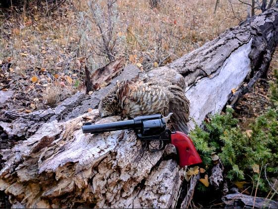 Screenshot 2025-12-09 7.21.18 PM.png