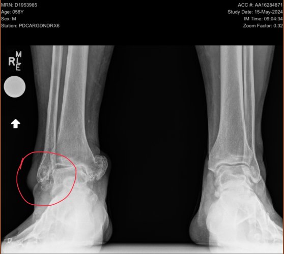 IMG_0511.jpeg IMG_0511.jpeg