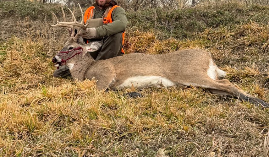 1765394306241.jpeg 1765394306241.jpeg