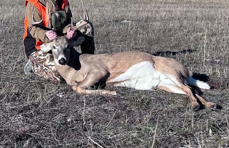 1765394373457.jpeg 1765394373457.jpeg