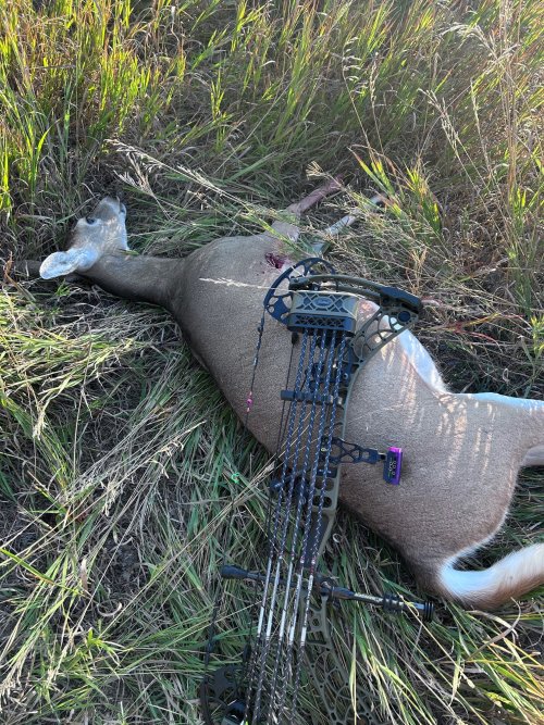 1765394406893.jpeg 1765394406893.jpeg