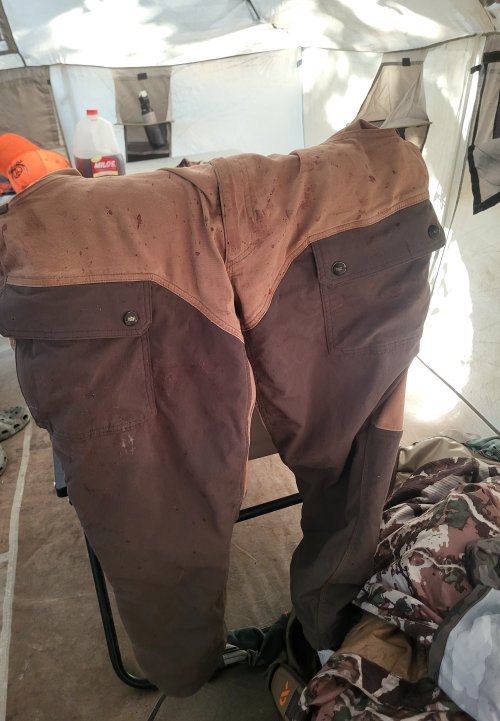 20251210_124320.jpg 20251210_124320.jpg