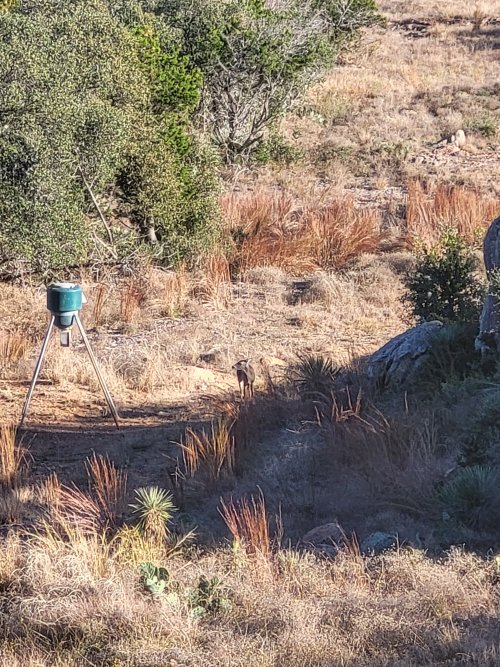 20251210_154544.jpg 20251210_154544.jpg