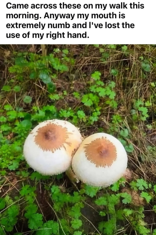 1765391566661.png