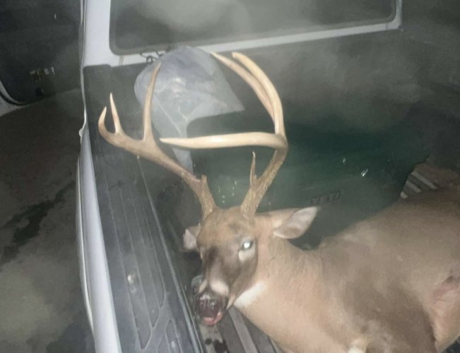 IMG_5720.jpeg IMG_5720.jpeg