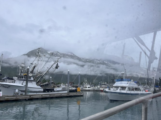 IMG_2770.jpeg IMG_2770.jpeg