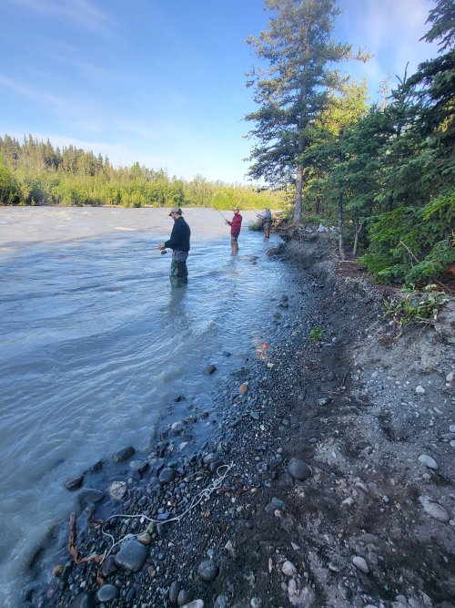 20240630_071313.jpg 20240630_071313.jpg