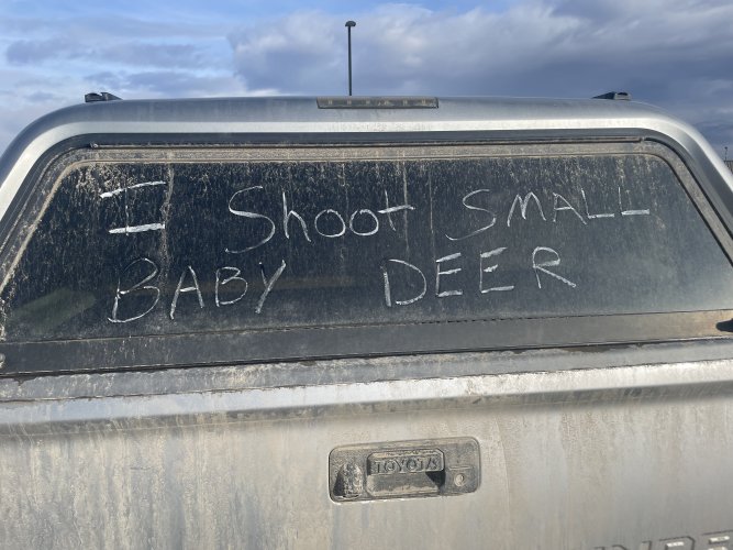 IMG_9229.jpeg IMG_9229.jpeg