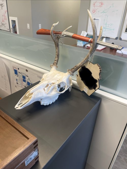 IMG_9230.jpeg IMG_9230.jpeg