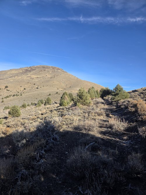 20251201_123822.jpg 20251201_123822.jpg