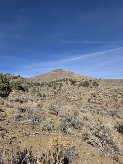 20251201_125857.jpg 20251201_125857.jpg