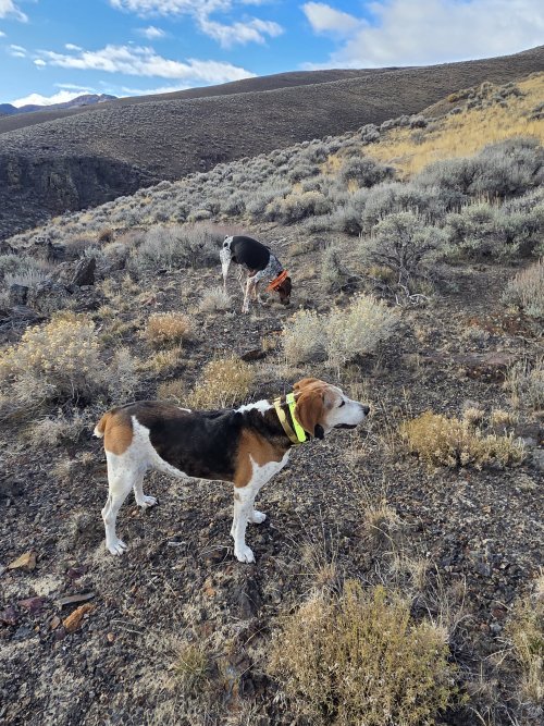 20251205_094953.jpg 20251205_094953.jpg