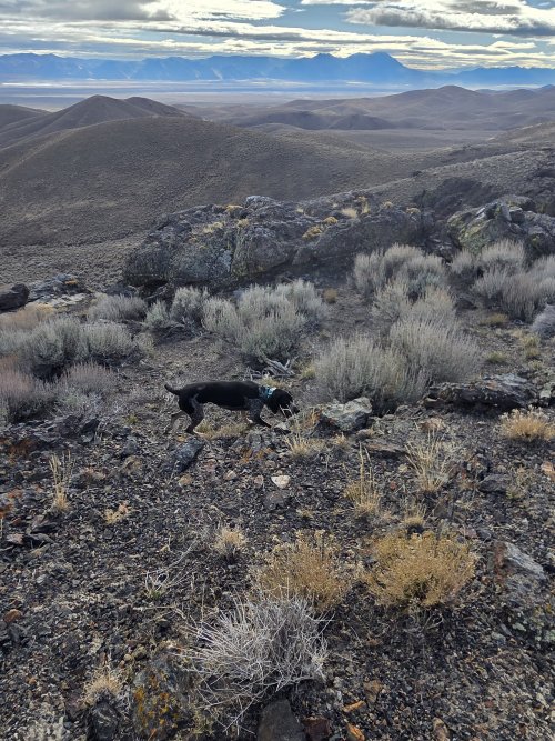 20251205_095010.jpg 20251205_095010.jpg