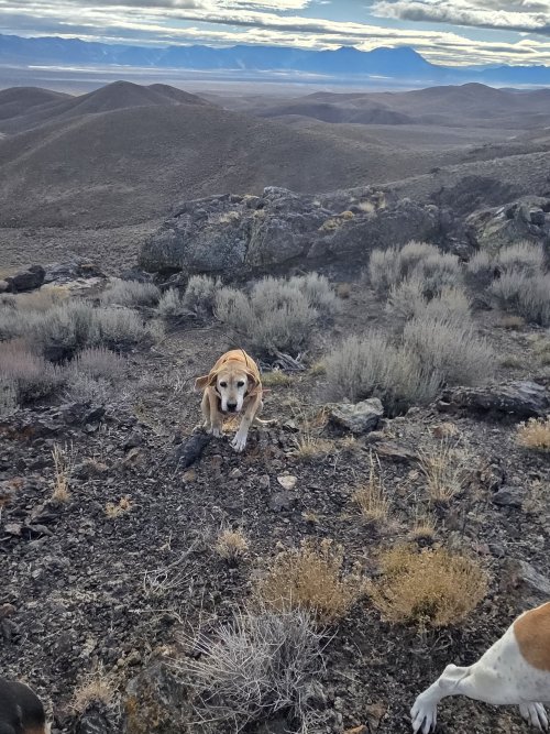 20251205_095018.jpg 20251205_095018.jpg