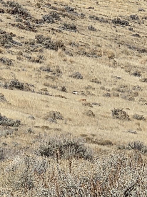 20251212_102946.jpg 20251212_102946.jpg