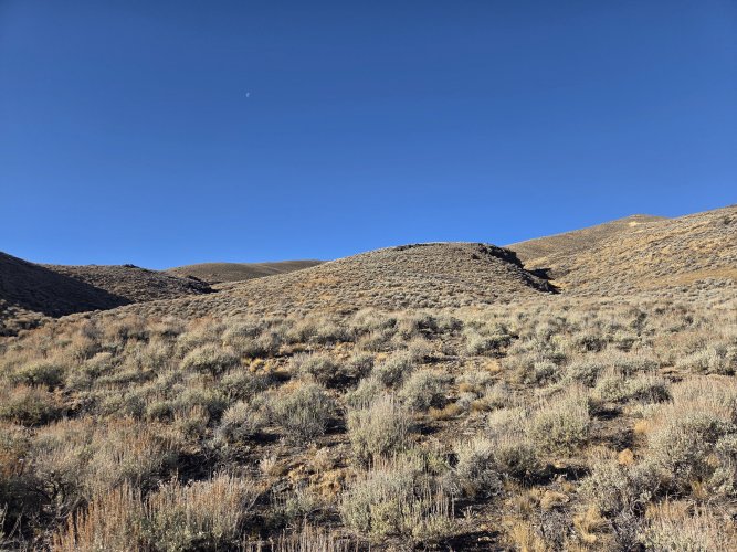 20251212_092726.jpg 20251212_092726.jpg