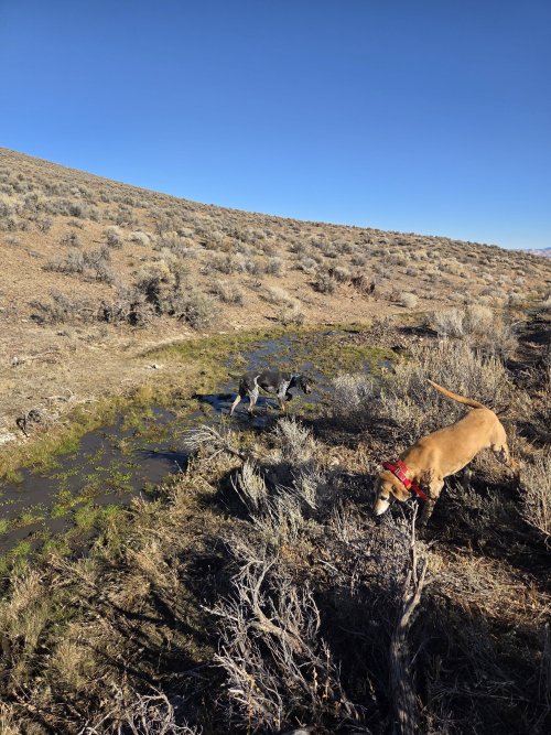 20251212_112542.jpg 20251212_112542.jpg