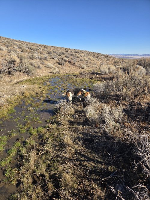 20251212_112519.jpg 20251212_112519.jpg