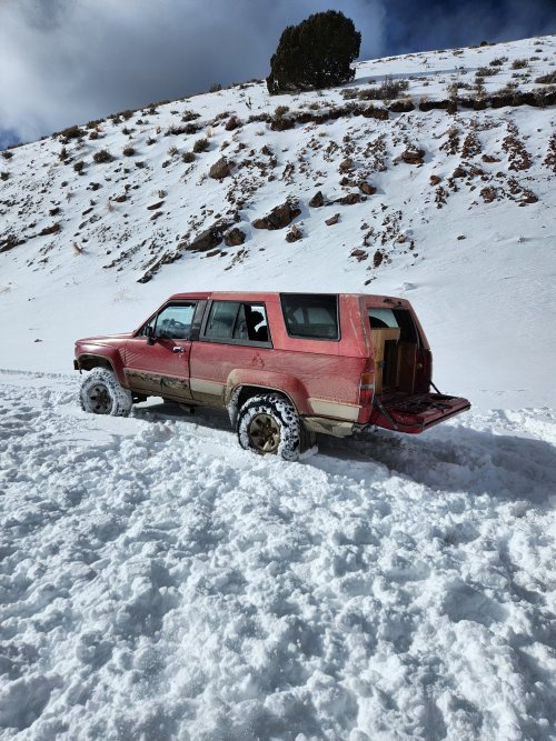 20250104_111048.jpg 20250104_111048.jpg