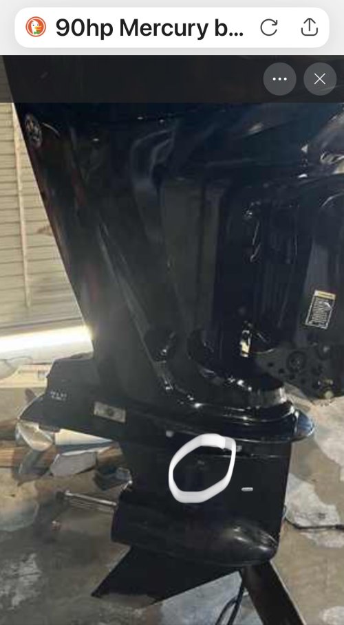 IMG_1168.jpeg IMG_1168.jpeg