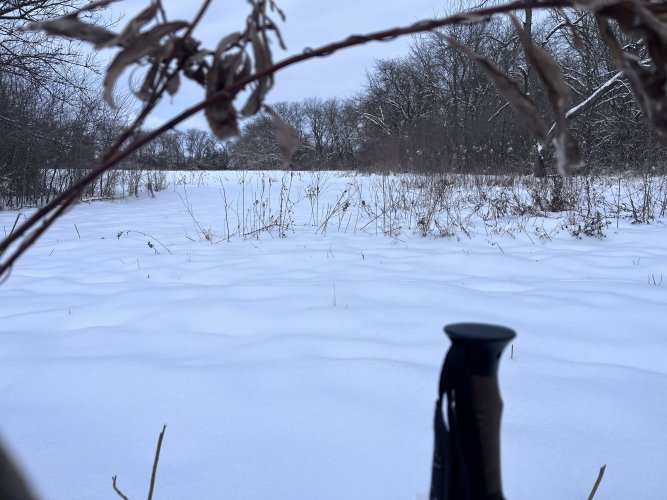 IMG_2187.jpeg IMG_2187.jpeg