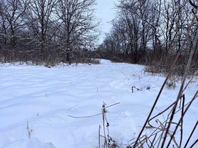 IMG_2186.jpeg IMG_2186.jpeg