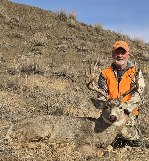 2025 MT Deer Cropped #1.jpg