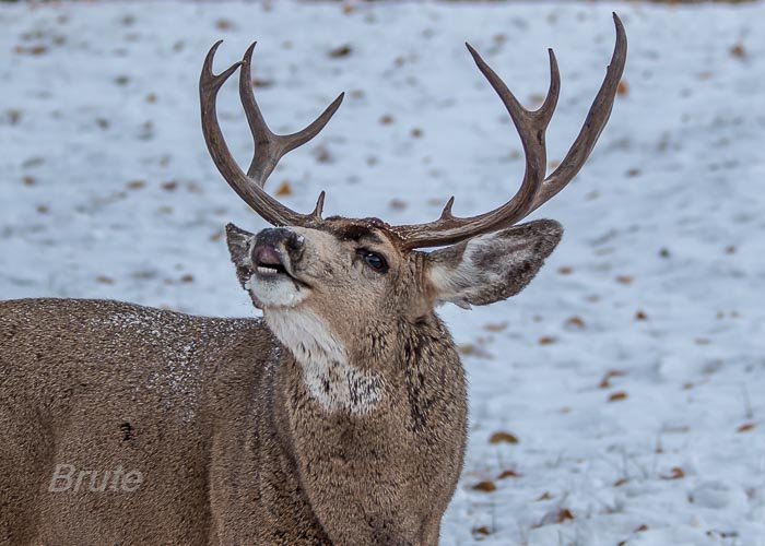 November 2022 a-0528.jpg