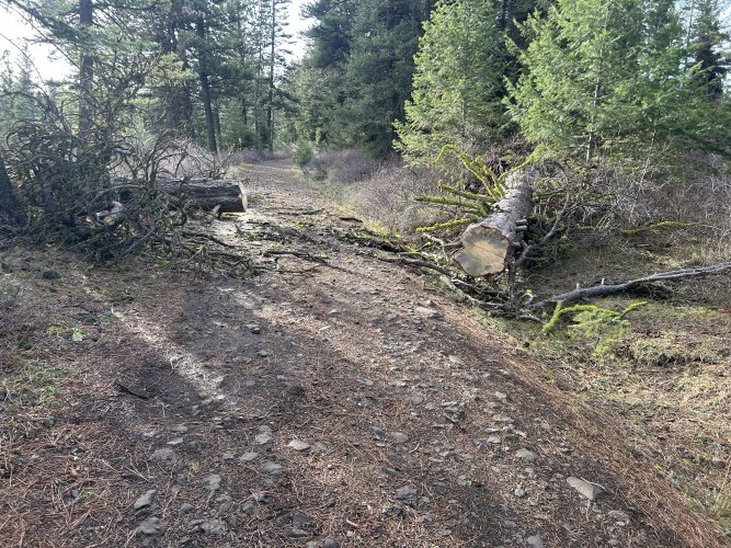 IMG_3742.jpeg IMG_3742.jpeg