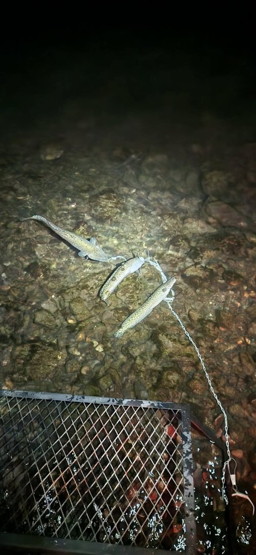 539f5b89a53029b4c09d1e066c63bd5b.jpeg 539f5b89a53029b4c09d1e066c63bd5b.jpeg